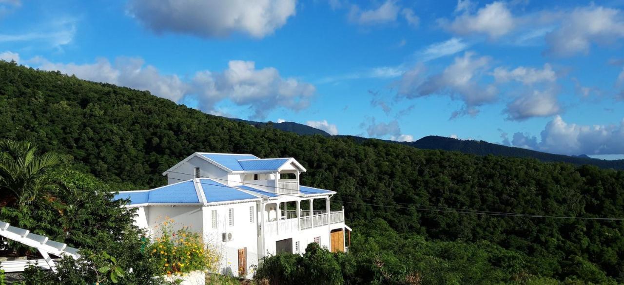 Cote Caraibes Apartment Bouillante Exterior photo